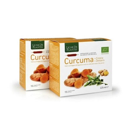 Curcuma + Cicoria + Zenzero